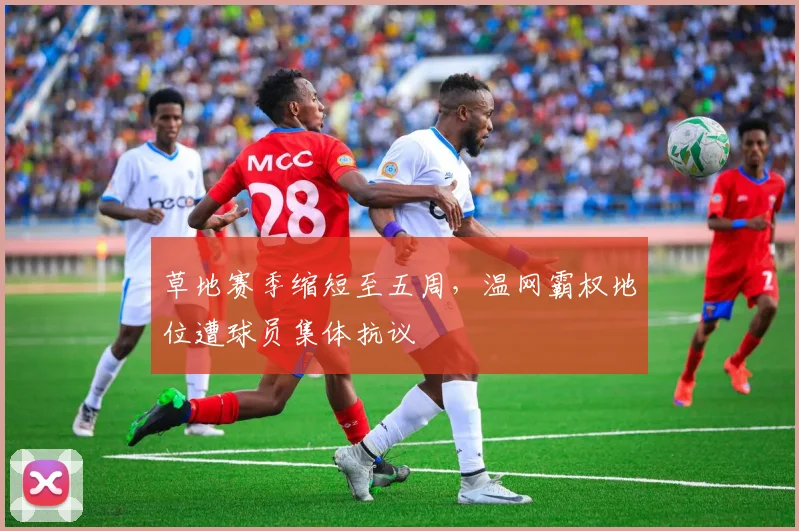 草地赛季缩短至五周，温网霸权地位遭球员集体抗议